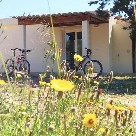 La Casita Yolanda, Ideal Parejas - Formentera Natural Sant Ferran de Ses Roques Zewnętrze zdjęcie