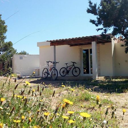 La Casita Yolanda, Ideal Parejas - Formentera Natural Sant Ferran de Ses Roques Zewnętrze zdjęcie
